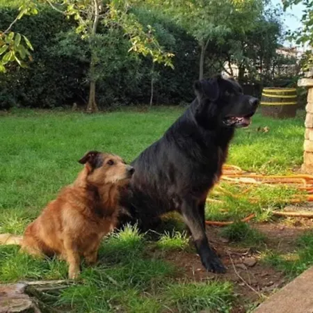 Appartement Sanja Near The Sea, Spacious And :)